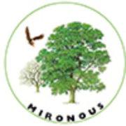 MIRONOUS's Logo