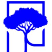 Pine Networks's Logo