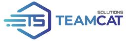 Teamcat Solutions's Logo