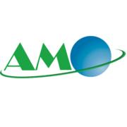 AMO Asset Management Optimization's Logo