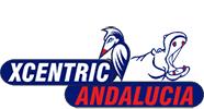 Xcentric ANDALUCIA's Logo