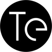 Terrasstone's Logo