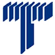 Teopsevi's Logo