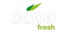 Copafresh S.A.'s Logo