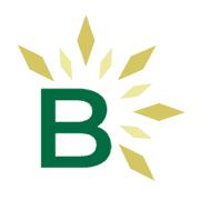 Bleyer Bullion's Logo