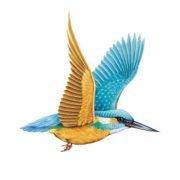 Kingfisher (Lubrication) Limited's Logo