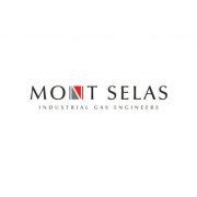 Mont Selas Limited's Logo