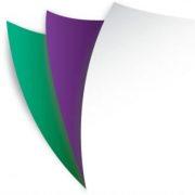 Papico Limited's Logo