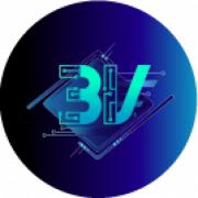 BlocVault Ltd's Logo