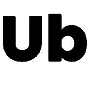 Ubiquitous Risk's Logo