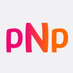 pingNpay's Logo