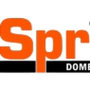 Domestic Sprinklers South Wales Ltd's Logo