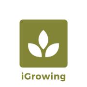 iGrowing's Logo