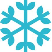 icesupp ltd's Logo