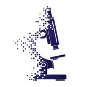 LDPath's Logo