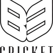 B3 Cricket (International)'s Logo