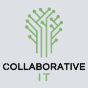 Collaborative Insight Technologies's Logo