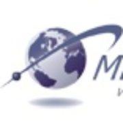 MicroTrends's Logo