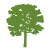 South West Forestry Limited's Logo