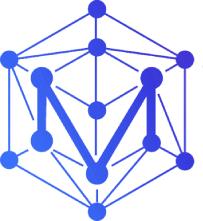 The Metaverse Institute's Logo