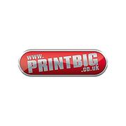 Printbig's Logo