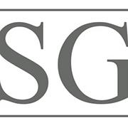 Drive SG Driving School's Logo