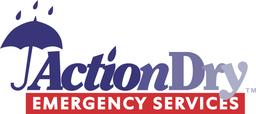 Actiondry's Logo