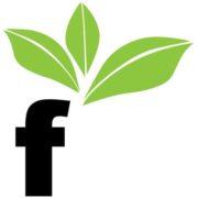 Fresh Food Co's Logo