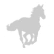 Horse Health's Logo