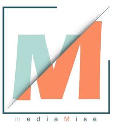 MEDIAMISE's Logo