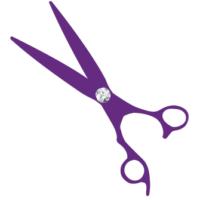 The Scissor Boutique's Logo