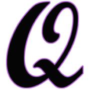 QUANTUM QUILTING LIMITED's Logo