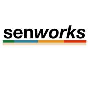 SENWORKS LTD.'s Logo