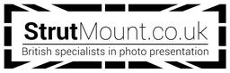 STRUTMOUNT LTD's Logo