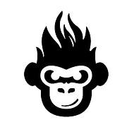 FIRE MONKEY PYRO LIMITED's Logo