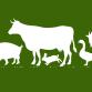 ANIMAL HEALTH (HIGHLAND) LTD's Logo