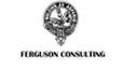 C FERGUSON CONSULTING LTD's Logo