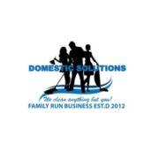 Domestic Solutions's Logo