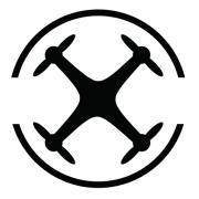 Drone Inspect Services's Logo