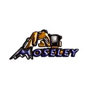 Moseley Fabrication & Welding Services's Logo