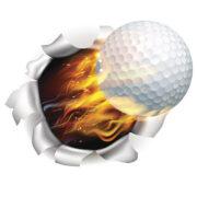 Golf Balls 4 You's Logo