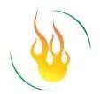 Eco Log Burners's Logo