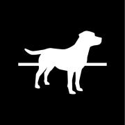 Healthy K9's Logo