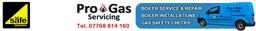 Pro Gas Servicing's Logo