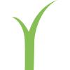 Easigrass Birmingham's Logo