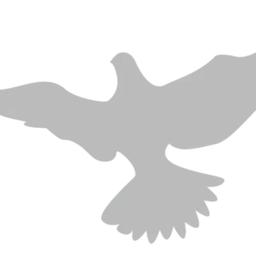 Birdgo's Logo