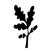 Roots Tree Specialists's Logo