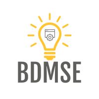 BDM Software Engineering's Logo