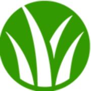 Artificial Grass Gurus's Logo