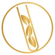 Science and Tradition Skincare's Logo